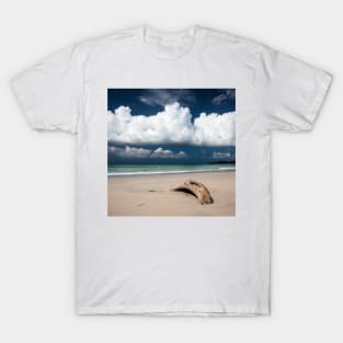 Beach driftwood and dark blue sky T-Shirt